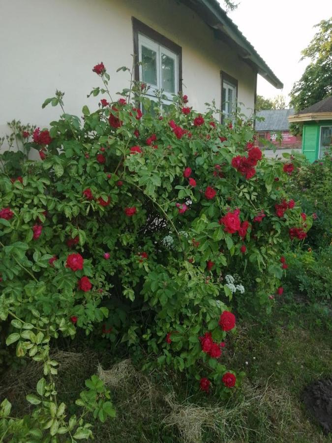 Kica Kroga Apartaments Ainaži エクステリア 写真